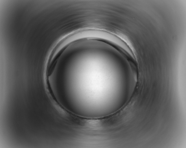 X0000088901136200706081301