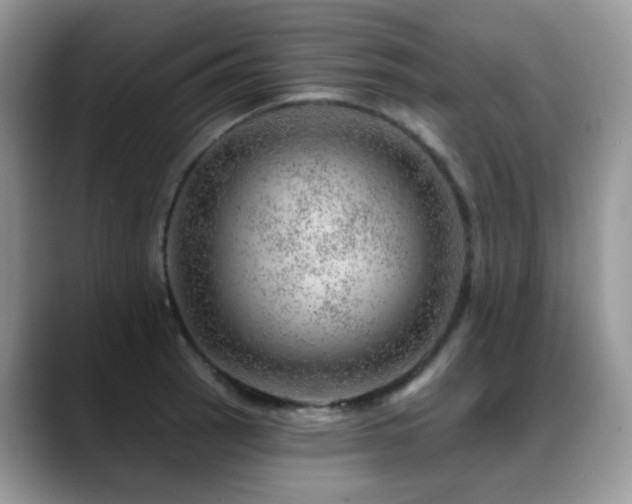 X0000088901137200706081301
