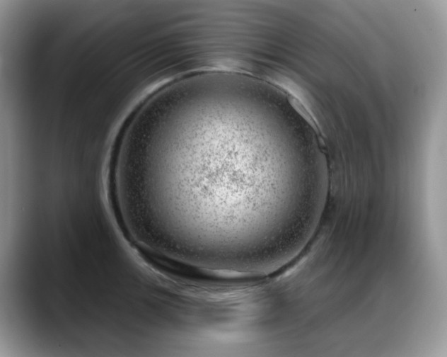 X0000088901139200706081301