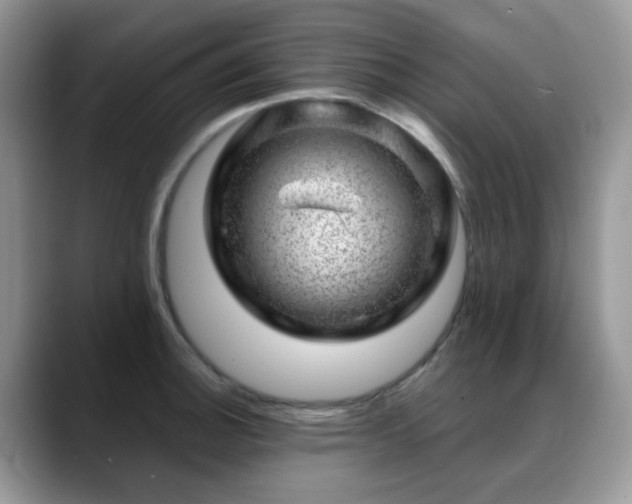X0000088901140200706081301