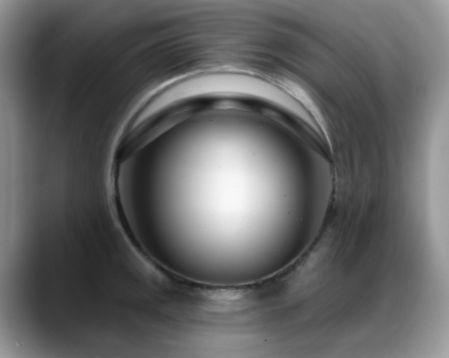 X0000088901141200706081301