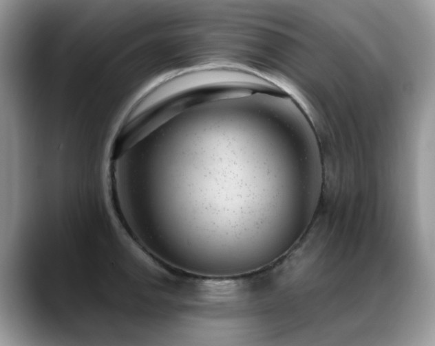 X0000088901142200706081301