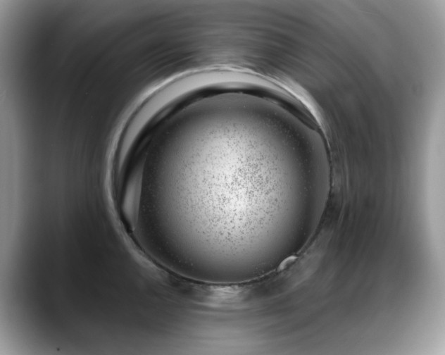 X0000088901144200706081301