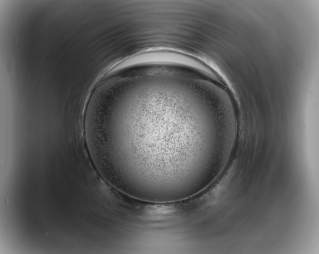 X0000088901145200706081301