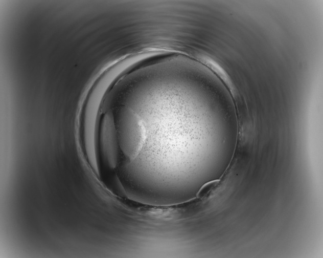 X0000088901146200706081301