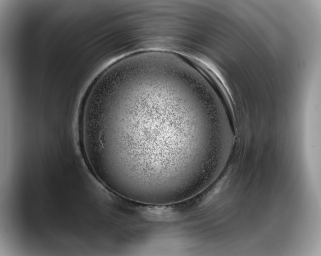 X0000088901147200706081301