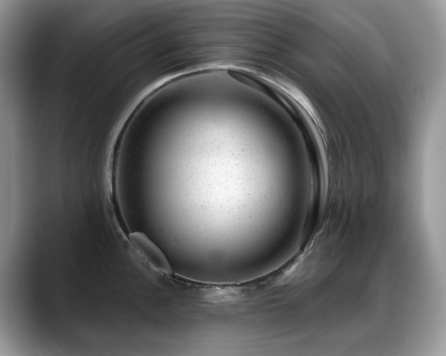 X0000088901148200706081301