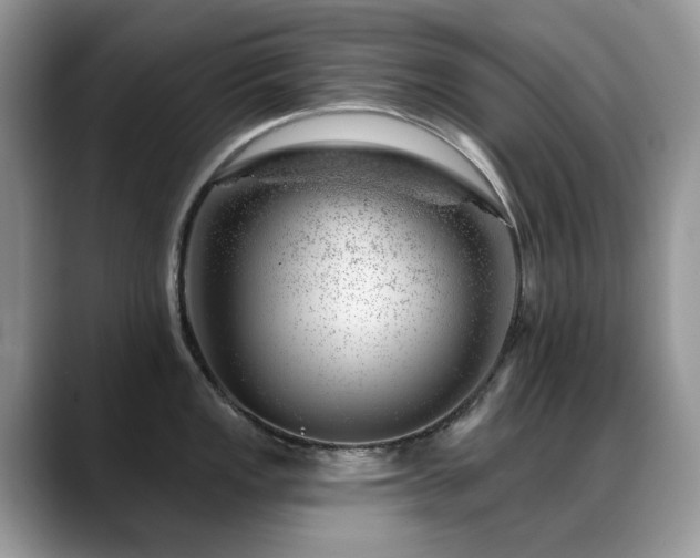 X0000088901149200706081301