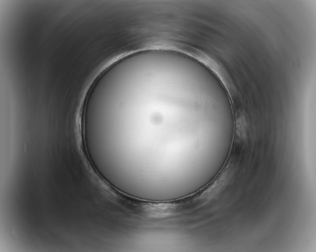 X0000088901150200706081301
