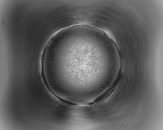 X0000088901151200706081301