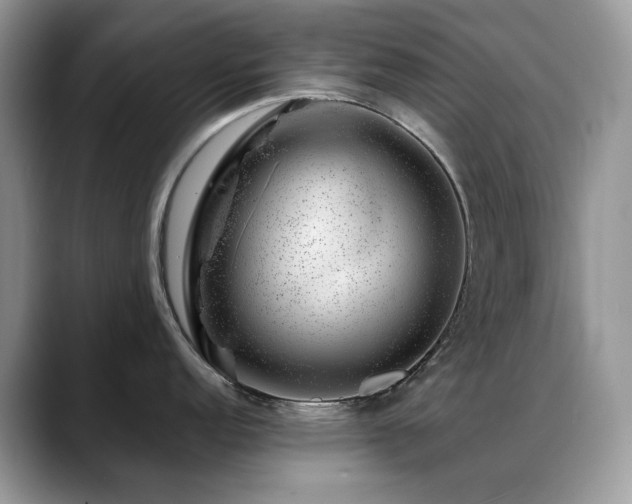 X0000088901152200706081301