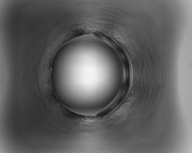 X0000088901153200706081301