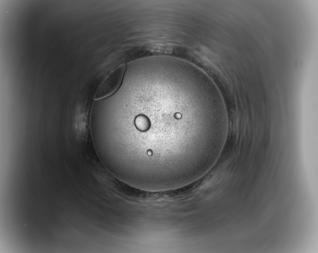 X0000088901154200706081301