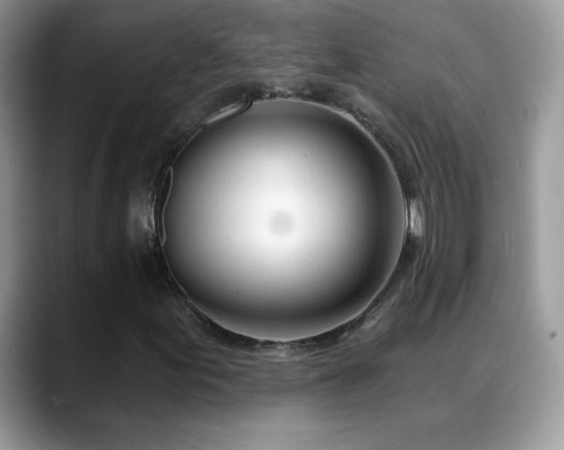 X0000088901155200706081301