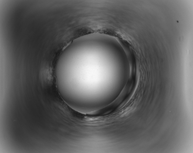 X0000088901156200706081301