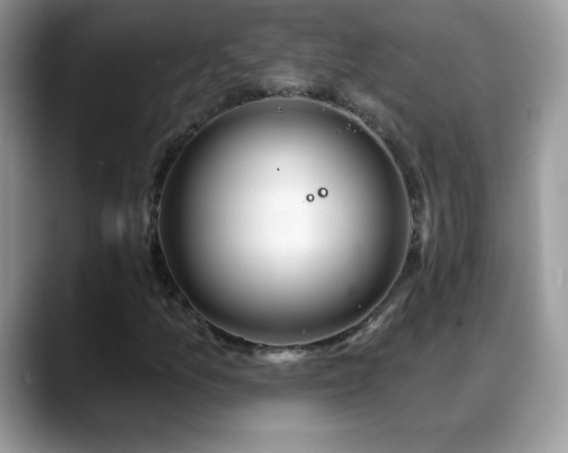 X0000088901157200706081301