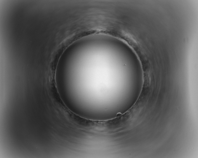 X0000088901158200706081301
