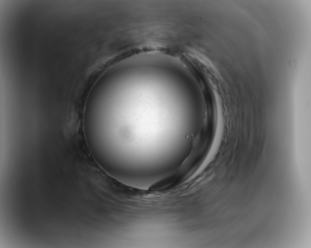 X0000088901160200706081301