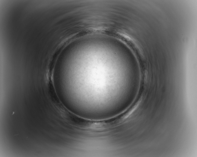 X0000088901161200706081301