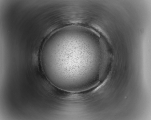 X0000088901162200706081301