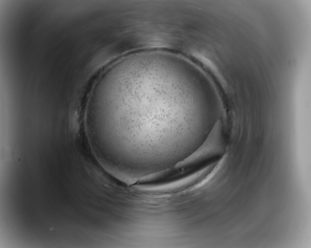 X0000088901163200706081300