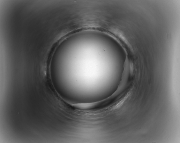 X0000088901165200706081300