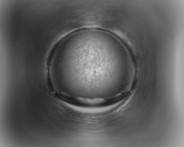 X0000088901167200706081300