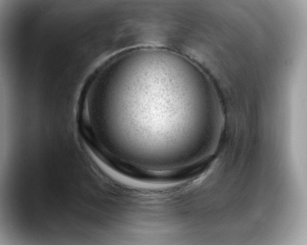 X0000088901168200706081300