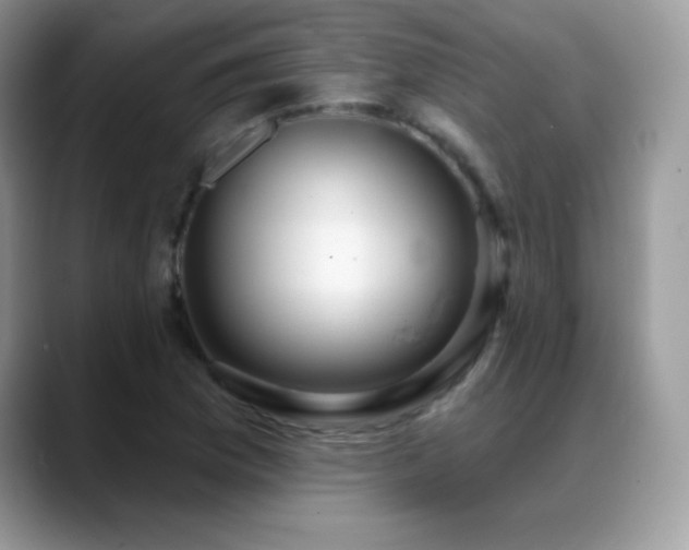X0000088901169200706081300