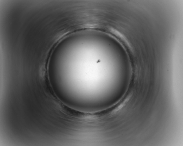 X0000088901170200706081300