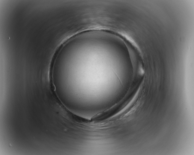 X0000088901173200706081300
