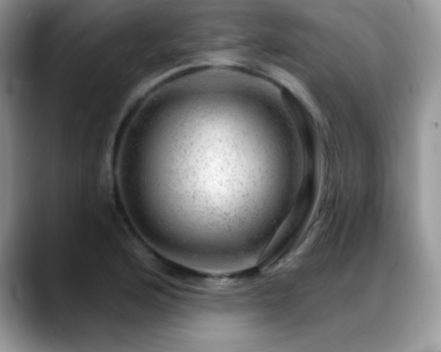 X0000088901176200706081300
