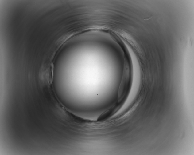X0000088901177200706081300