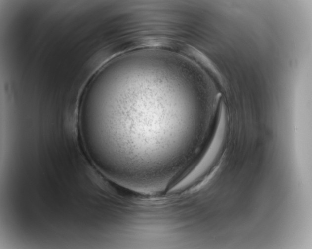 X0000088901178200706081300