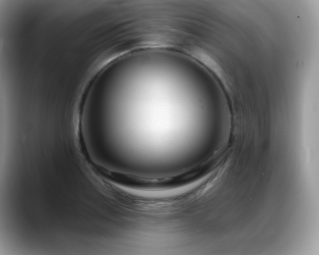 X0000088901179200706081300