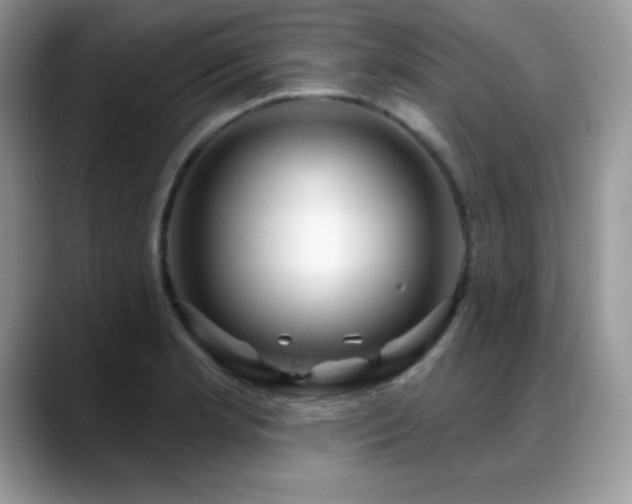 X0000088901181200706081300