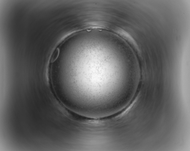 X0000088901182200706081300