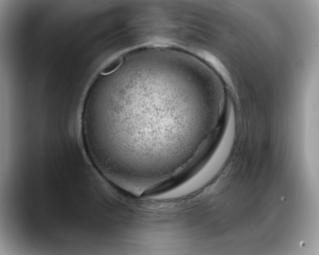 X0000088901183200706081300