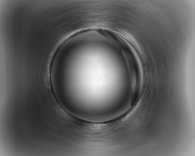 X0000088901184200706081300
