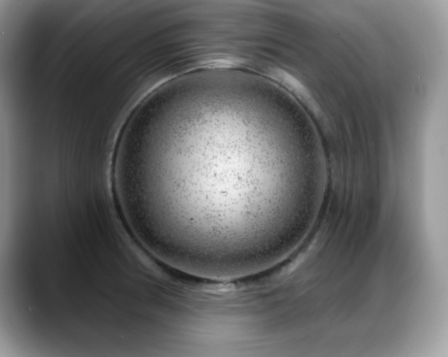 X0000088901186200706081300