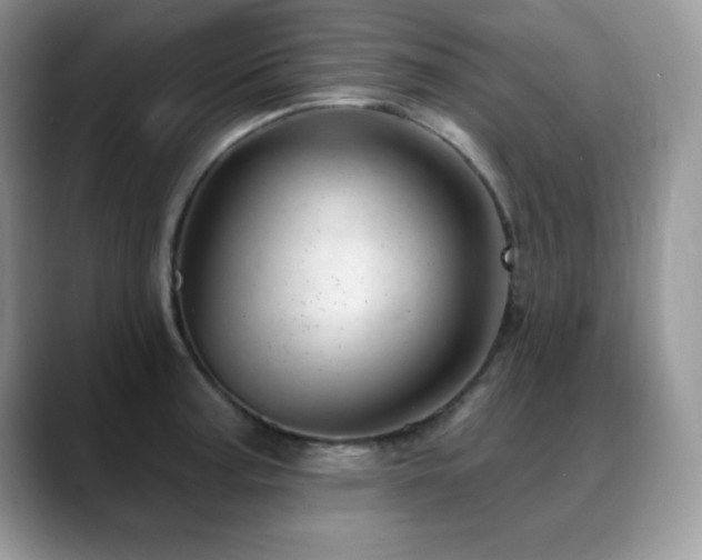 X0000088901187200706081300