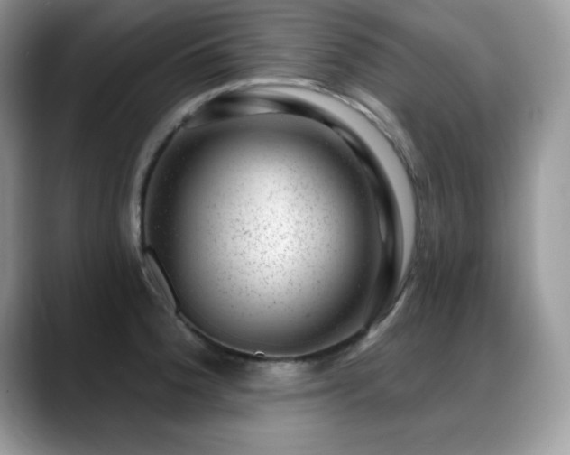 X0000088901188200706081300