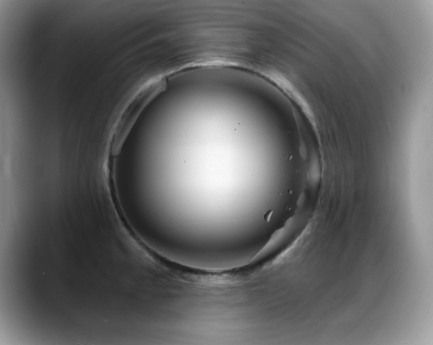 X0000088901189200706081300