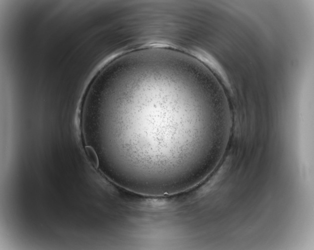 X0000088901190200706081300