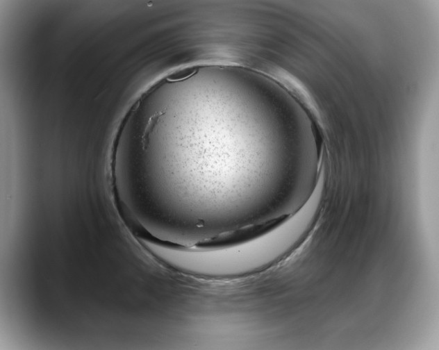 X0000088901192200706081300