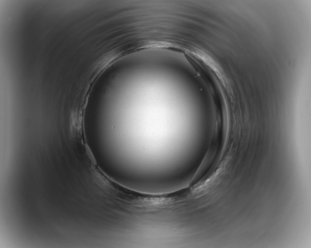 X0000088901193200706081300
