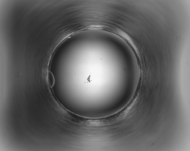 X0000088901194200706081300
