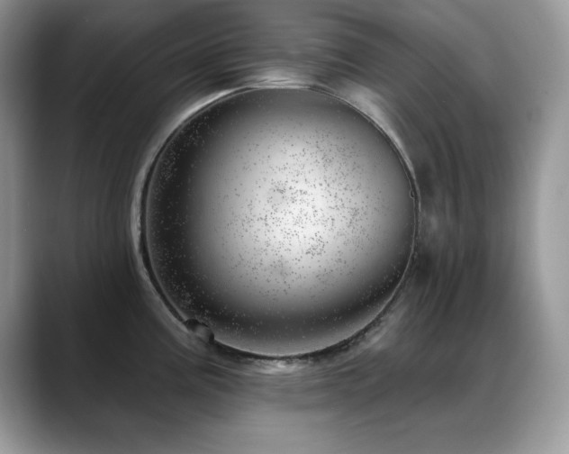 X0000088901195200706081300