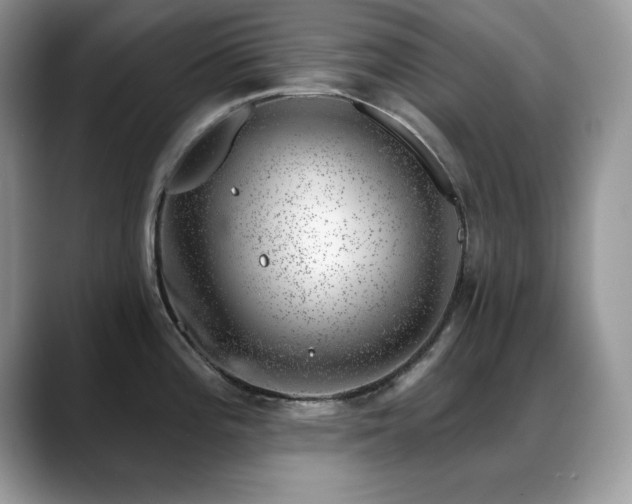 X0000088901196200706081300