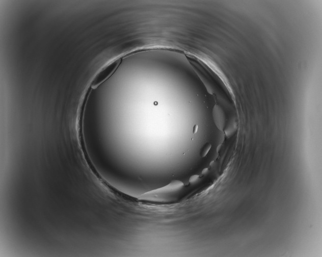 X0000088901197200706081300